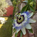 Corte Del Bosco 4* ガルダ