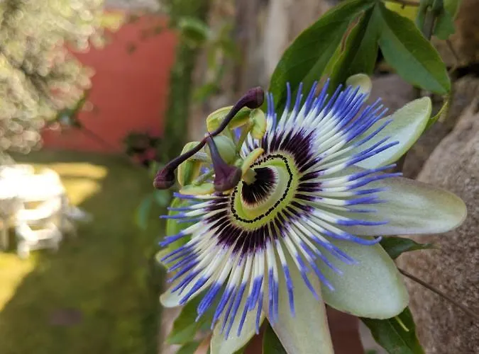 Corte Del Bosco 4* Garda (Verona)