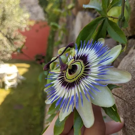 Corte Del Bosco 4* Garda (Verona)