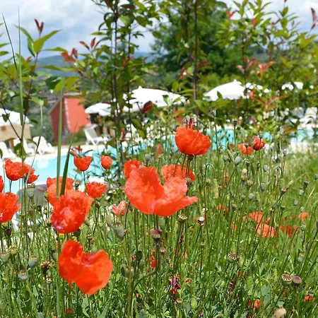 Aparthotel Corte Del Bosco 4*